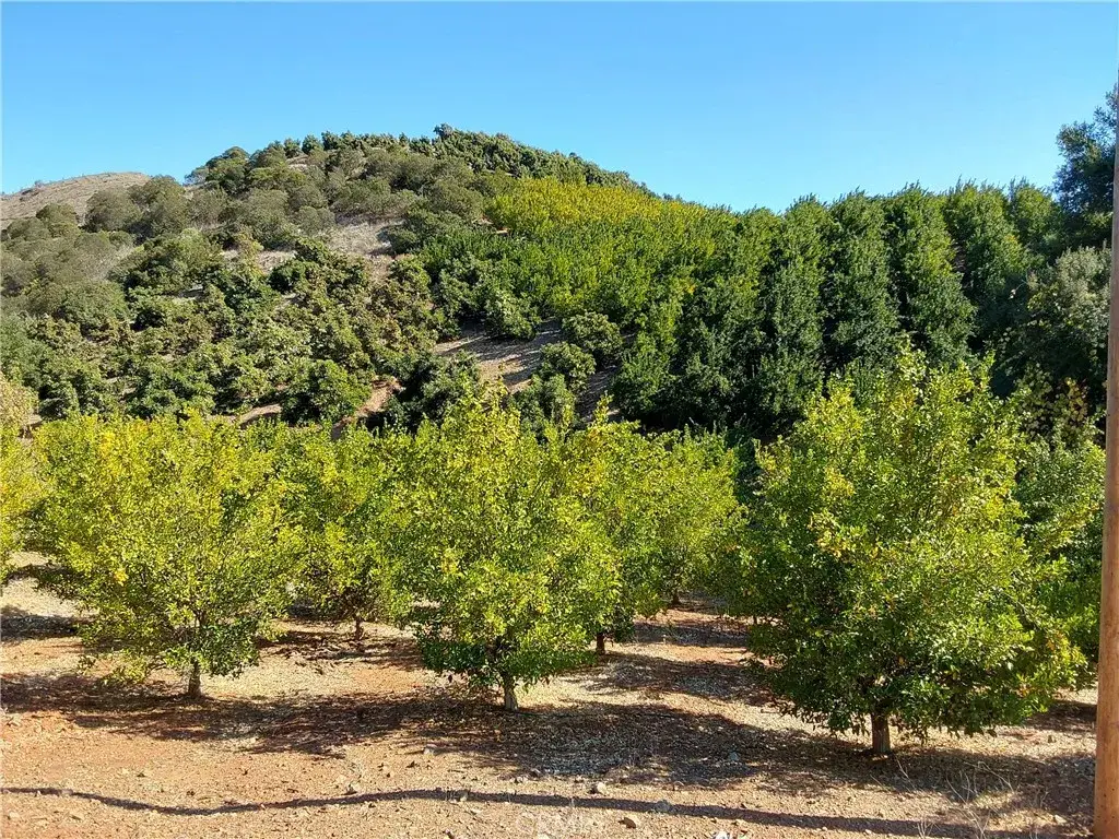 3 Via Vaquero, Temecula, CA 92590 - #1