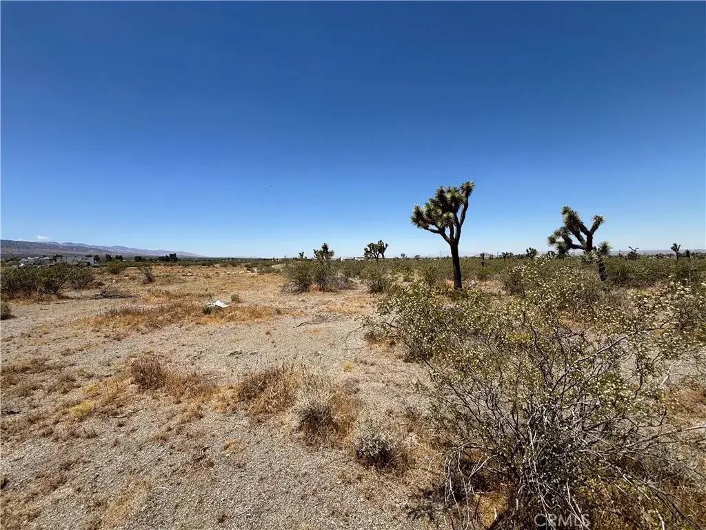 0 Danbury, Pinon Hills, CA 92372 - #1