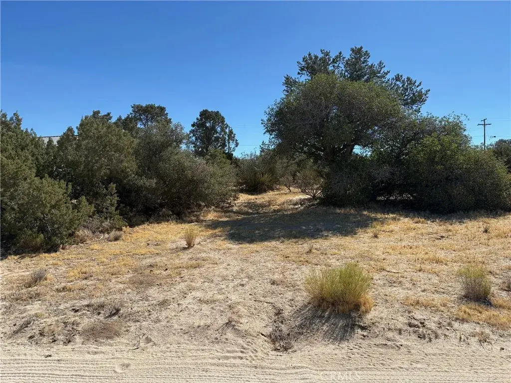0 Chillon Hts, Mountain Center, CA 92561 - #1