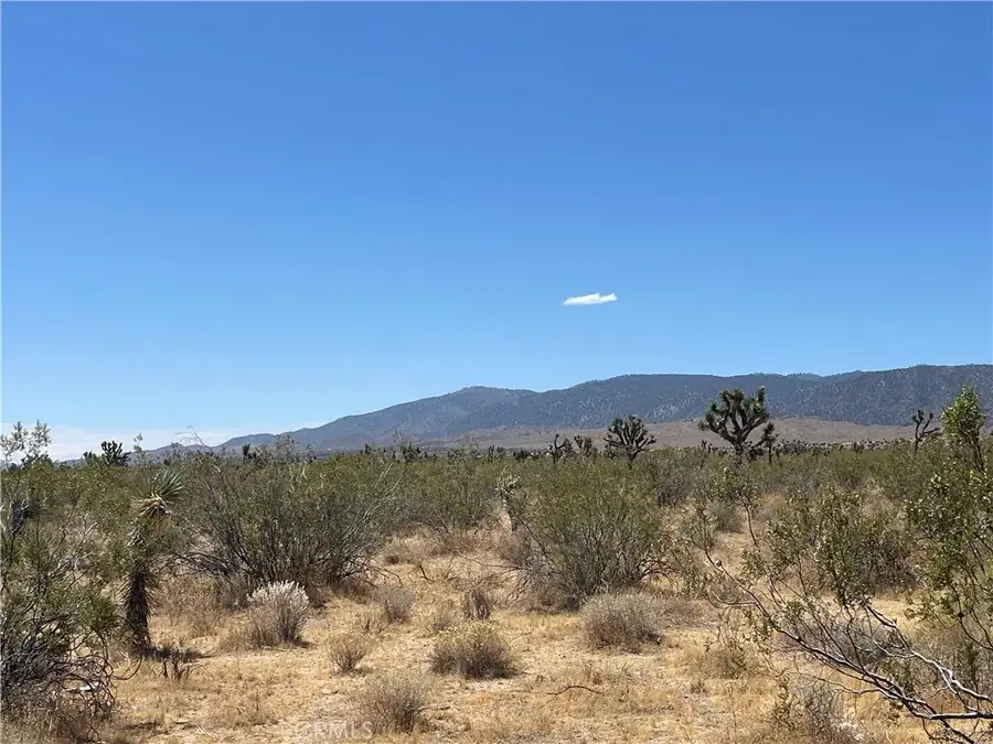 0 213th, Llano, CA 93544 - #2