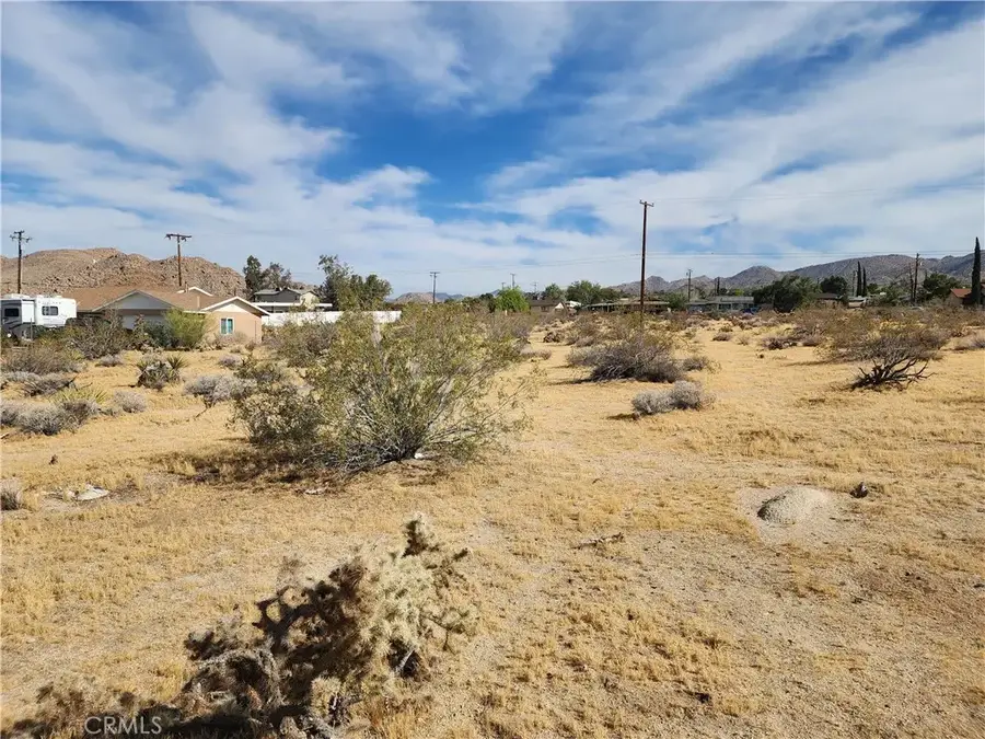 61665 Division, Joshua Tree, CA 92252 - #2