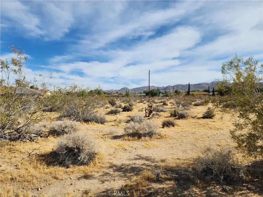 61665 Division, Joshua Tree, CA 92252 - #3