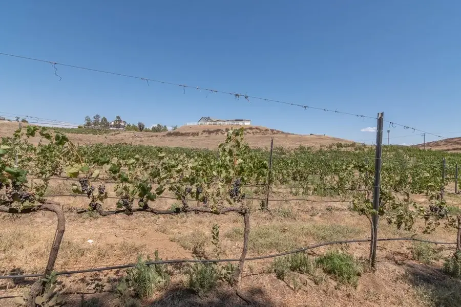 37911 Arosa, Winchester, CA 92596 - #2