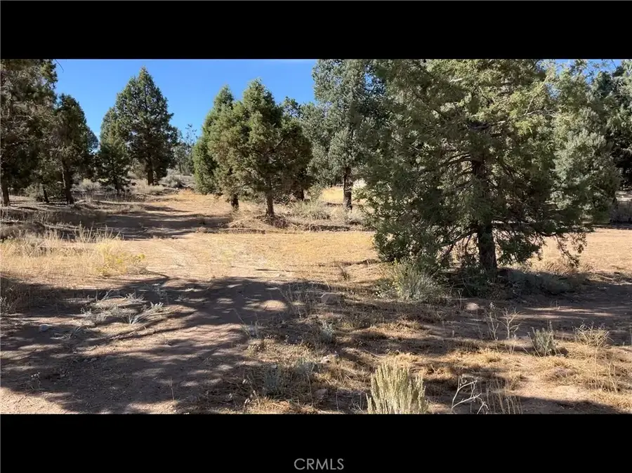 0 Baldwin, Big Bear City, CA 92314 - #2