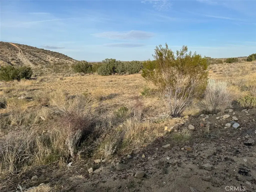 0 Valyermo, Pearblossom, CA 93553 - #1