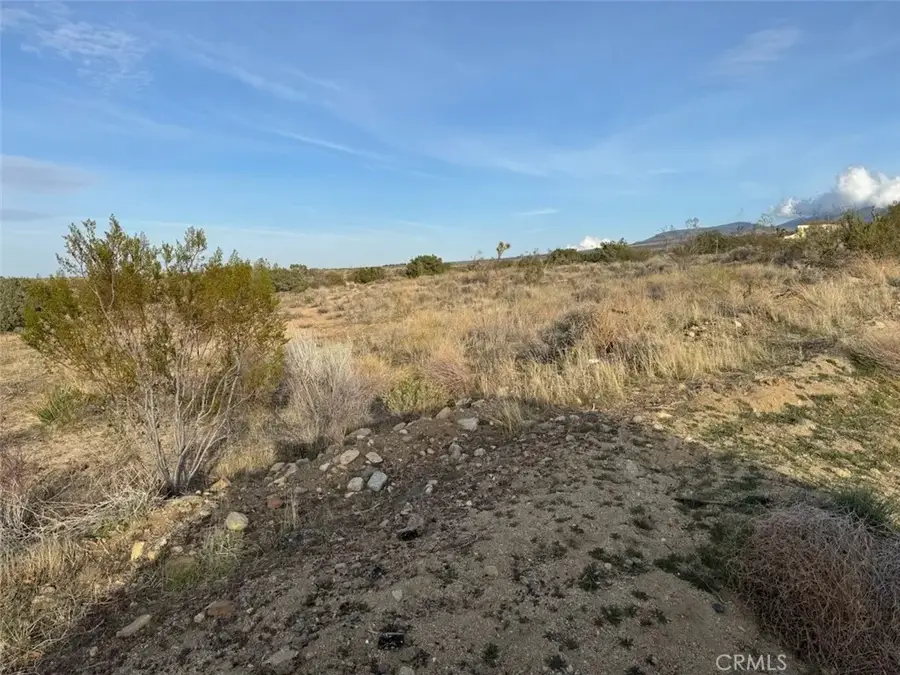 0 Valyermo, Pearblossom, CA 93553 - #2