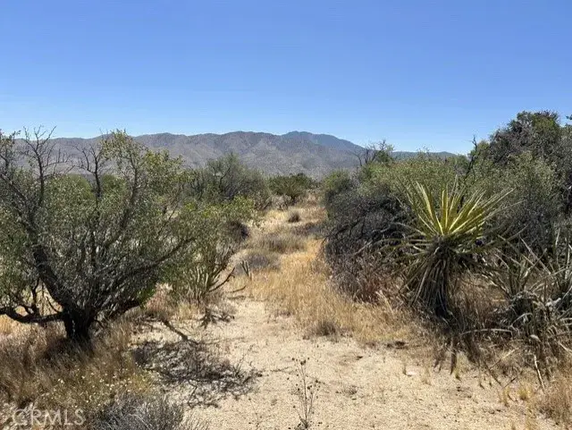 7 Carrizo, Mountain Center, CA 92561 - #3