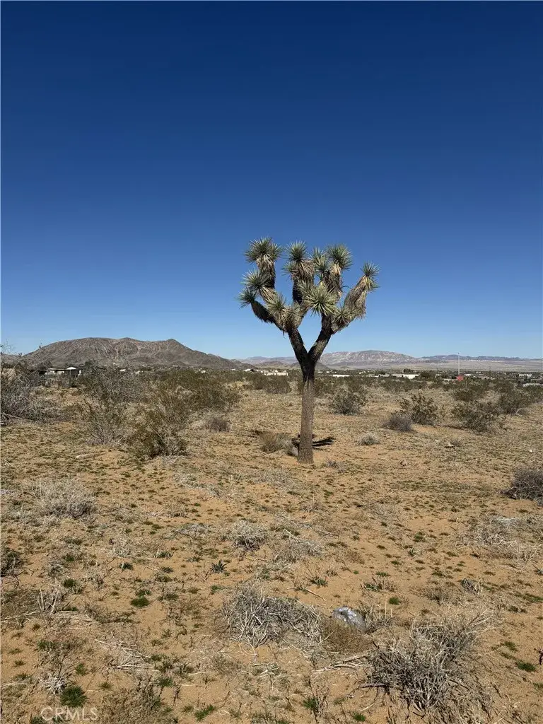 575 N Covelo, Landers, CA 92285 - #1