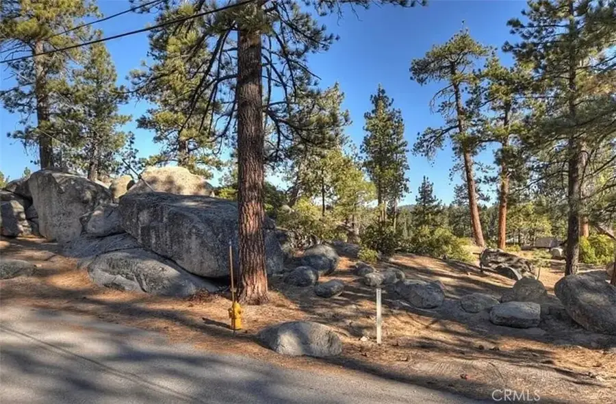 831 Cove Drive, Big Bear Lake, CA 92315 - #3