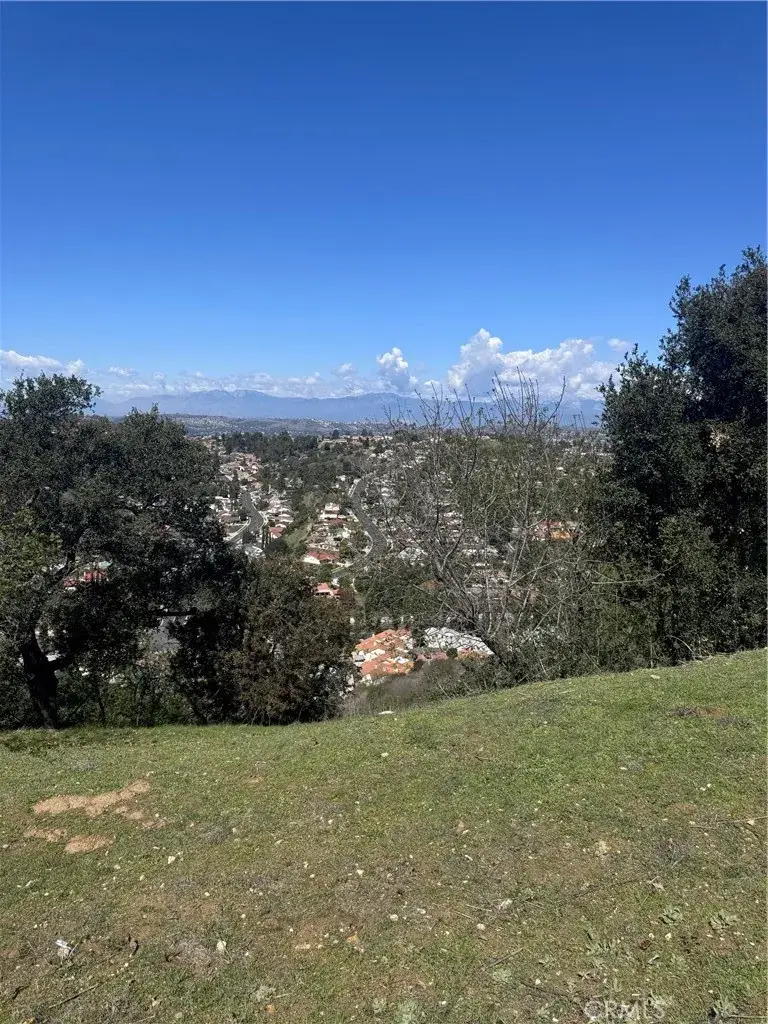 22607 Ridgeline Rd, Diamond Bar, CA 91765 - #3