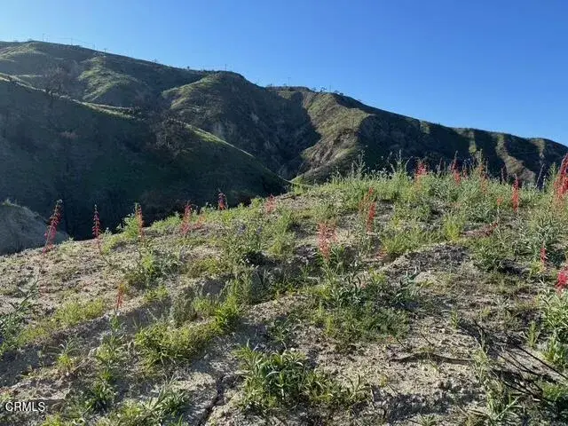 31029 Hasley Canyon, Castaic, CA 91384 - #2