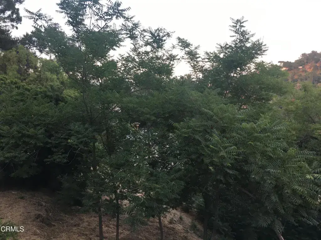 Earl Apn 5422-009-040, Los Angeles, CA 90039 - #1