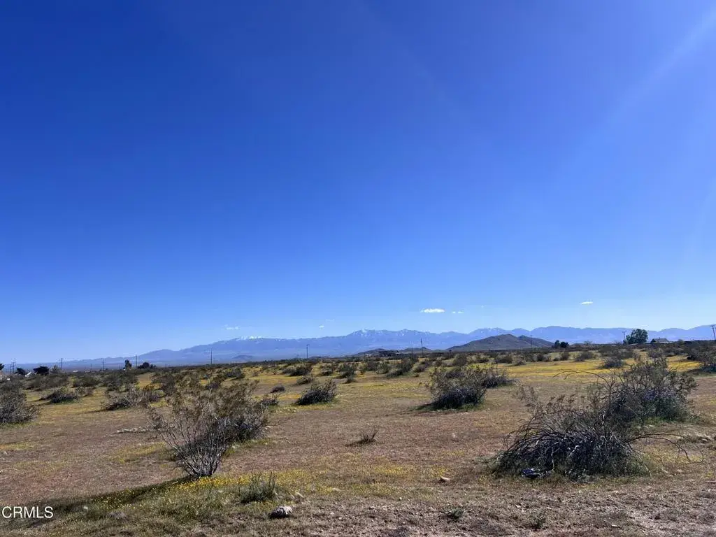 8 E 8, Hi Vista, CA 93535 - #1