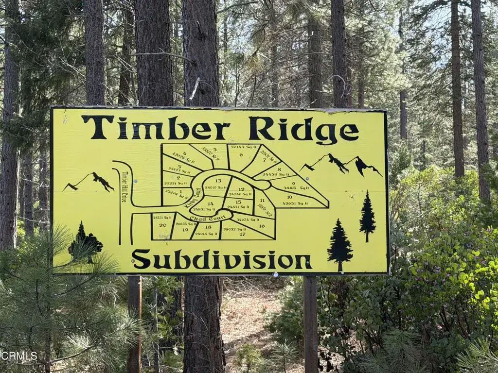 6 Kirby, Burney, CA 96013 - #1