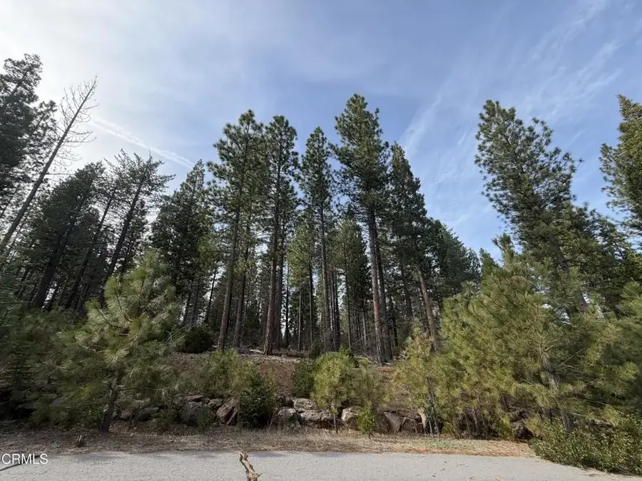 6 Kirby, Burney, CA 96013 - #2