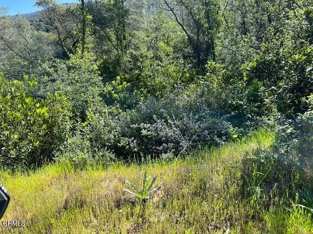 0 Rocky Top, Oroville, CA 95965 - #1