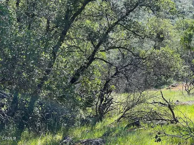 0 Rocky Top, Oroville, CA 95965 - #2