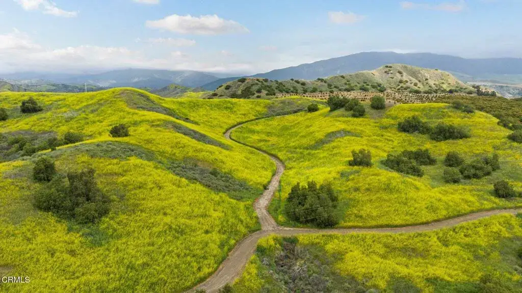 0 Dickenson, Santa Paula, CA 93060 - #1