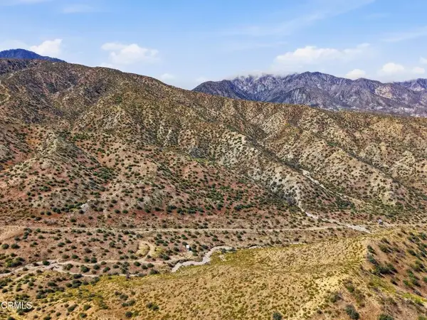 Big Pines, Llano, CA 93544