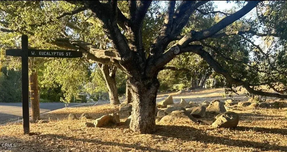 501 W Eucalyptus, Ojai, CA 93023 - #1