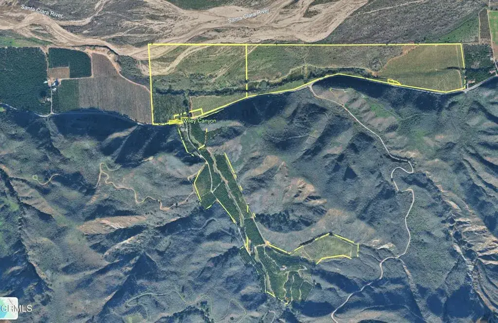 2500-, 2560 E Guiberson Road, Fillmore, CA 93015 - #1