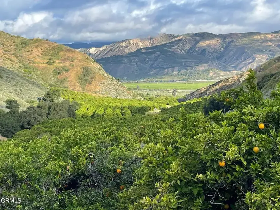 2500-, 2560 E Guiberson Road, Fillmore, CA 93015 - #2