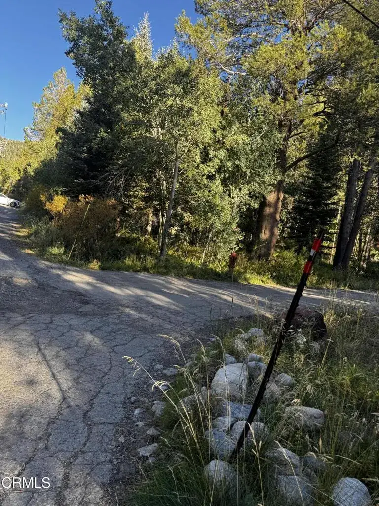 Aspen Grove, June Lake, CA 93529 - #1