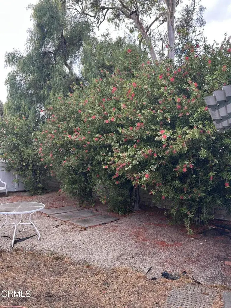 62 Pansy #62, San Buenaventura Ventura, CA 93004 - #2