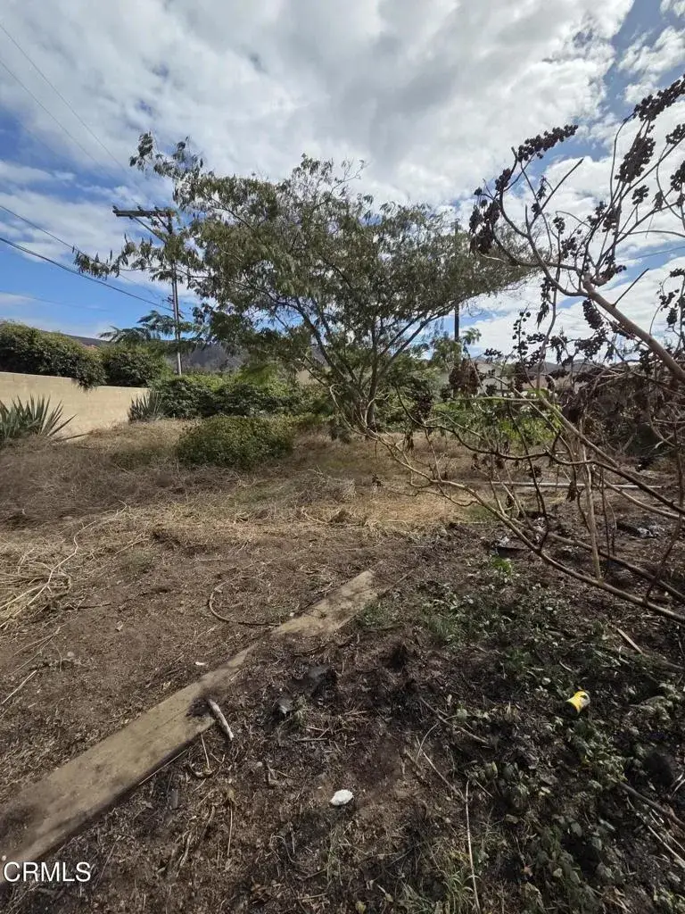 890 W Telegraph Road, Santa Paula, CA 93060 - #3