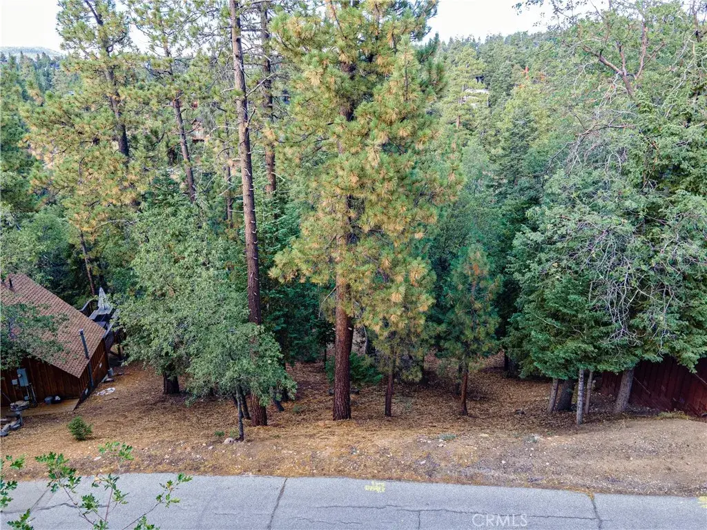 43326 Shasta, Big Bear, CA 92315 - #1