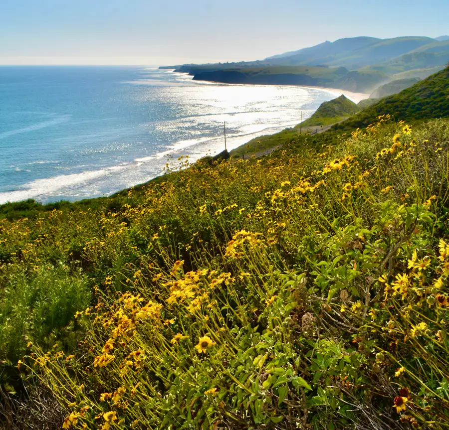 21 Hollister Ranch Road, Gaviota, CA 93117 - Image #3