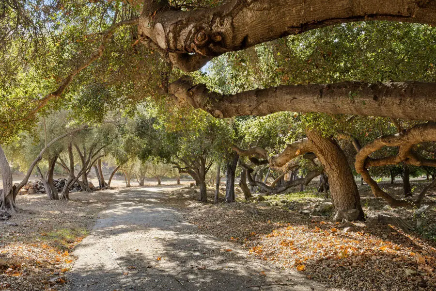 2250 Hermitage Road, Ojai, CA 93023 - Image #2