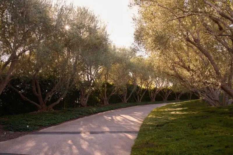 2910 Sycamore Canyon Road, Montecito, CA 93108 - #2