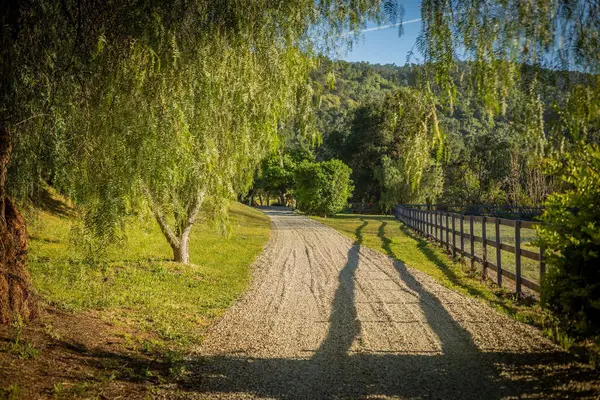 11849 Sulphur Mountain Road, OJAI, CA 93023