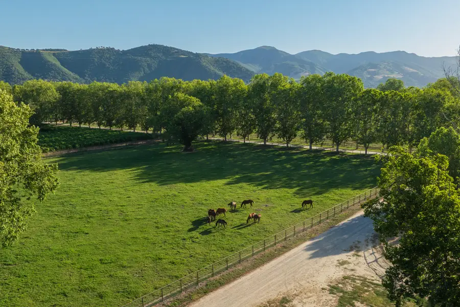 801 E Highway 246, Solvang, CA 93463 - #3