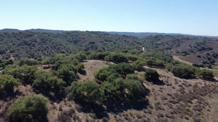 01 Long Canyon Road, Santa Maria, CA 93454 - #3