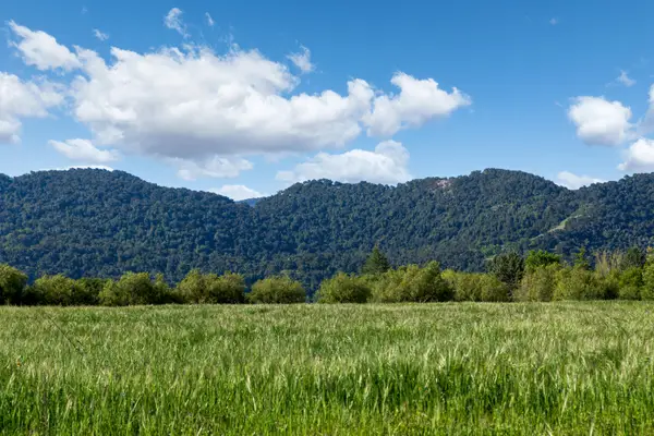 0 White Oak Road, SANTA YNEZ, CA 93460