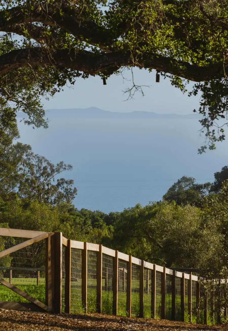 568 Toro Canyon, Montecito, CA 93108 - #3