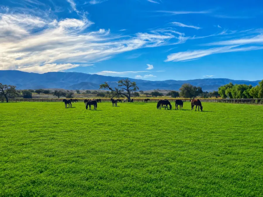 1848 Mora Avenue, Santa Ynez, CA 93460 - #2