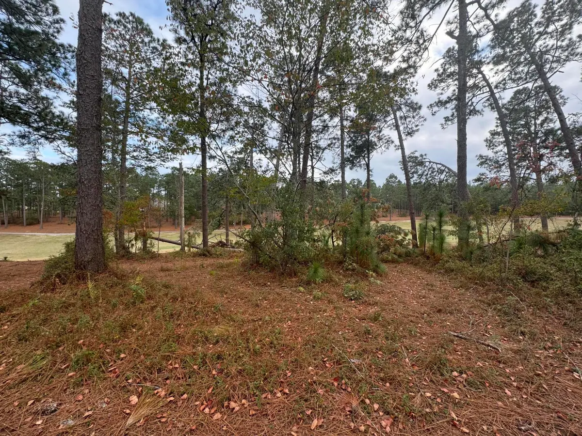 Lot 2 Birdie Place, Graniteville, SC 29829 - Image #1