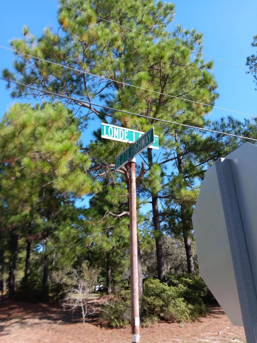 0 Londe Lane, Barnwell, SC 29812 - #2