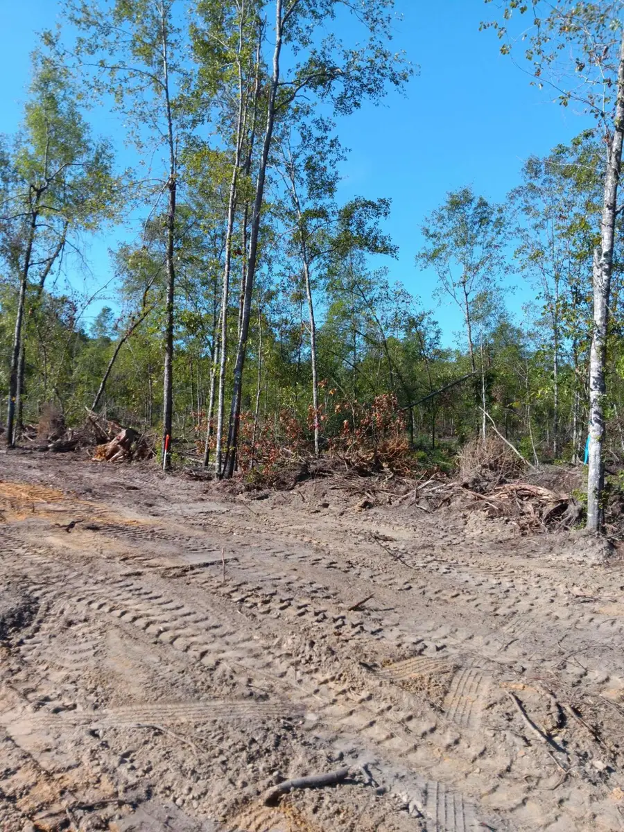 0 Londe Lane, Barnwell, SC 29812 - #3