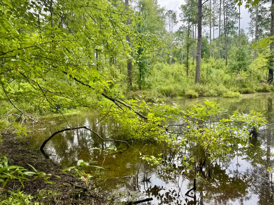 Lot B Camp Creek Road, Lancaster, SC 29720 - Image #3