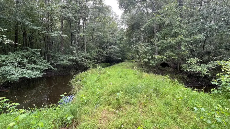 Tbd Guinyard Boulevard, Springfield, SC 29146 - Image #2