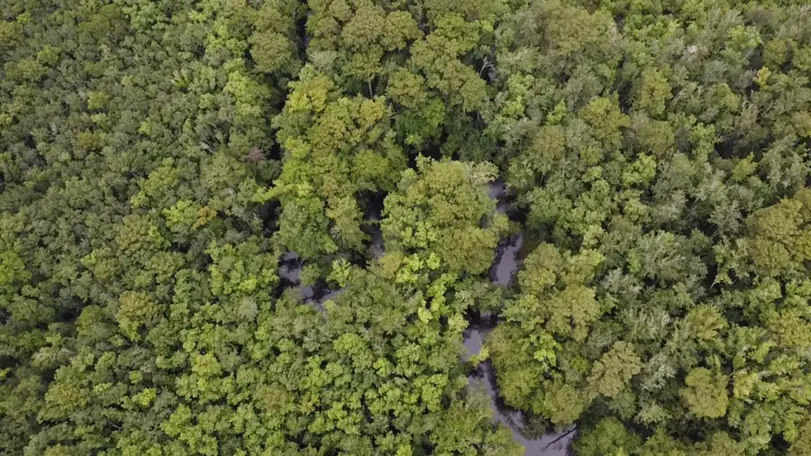 Tbd Guinyard Boulevard, Springfield, SC 29146 - Image #3