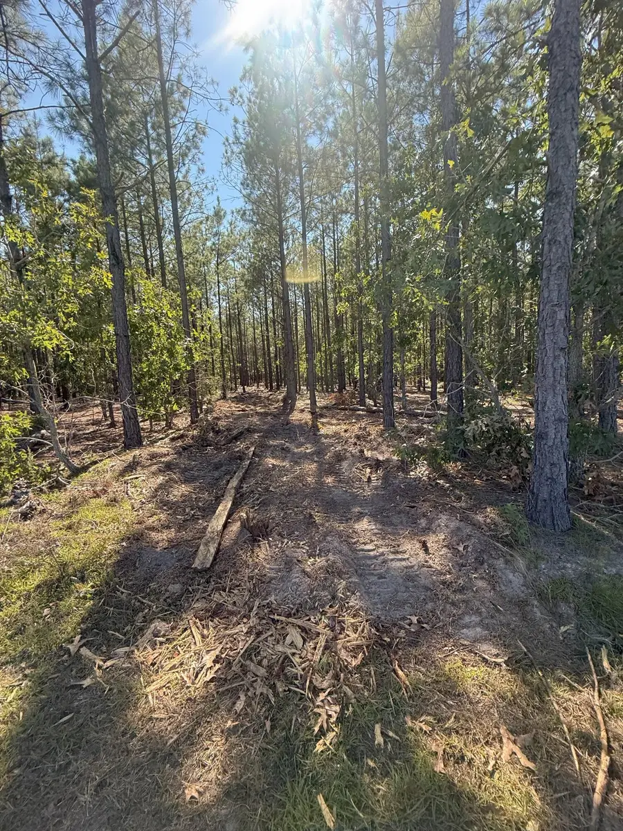 Kf 9 Providence Road #Kf 9, Kershaw, SC 29067 - Image #3