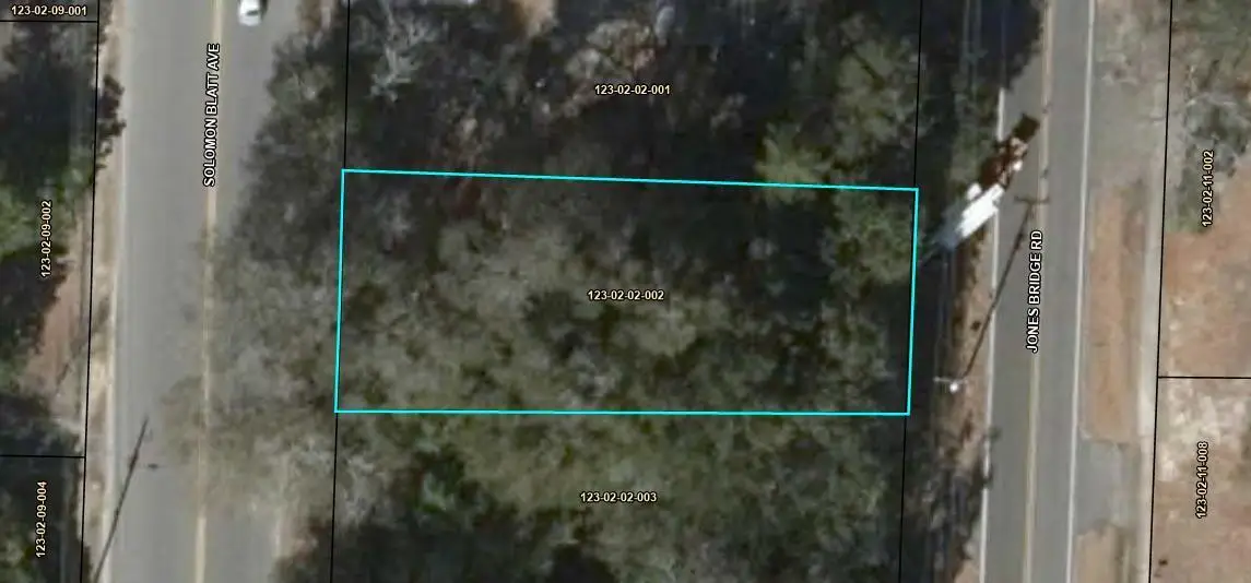 0 Jones Bridge Road, Blackville, SC 29817 - Image #1