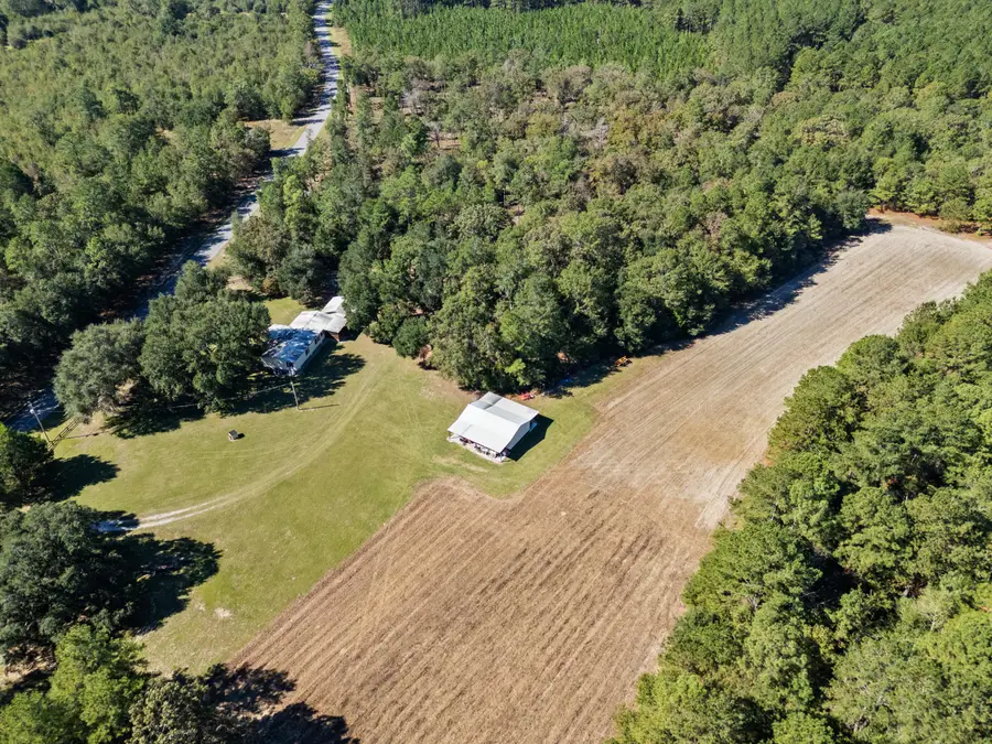 7901 Ashleigh Road, Blackville, SC 29817 - Image #2