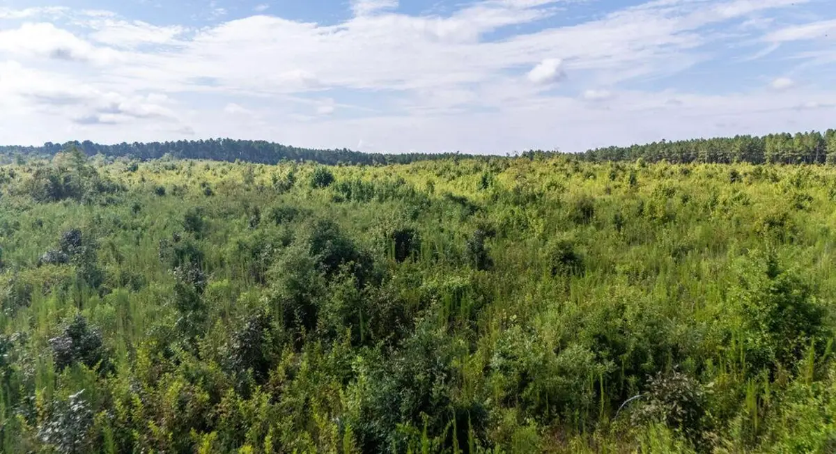 5ac Ouzts, Edgefield, SC 29824 - Image #1