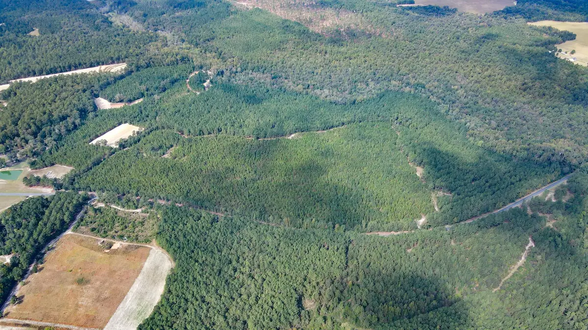 Tbd Mt Beulah Road, Windsor, SC 29856 - Image #1